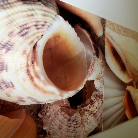 Brezza Marina ベッド・アンド・ブレックファスト サン・ティジドーロ